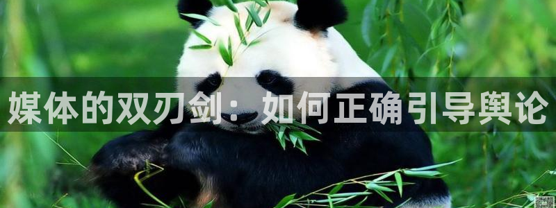媒体的双刃剑：如何正确引导舆论