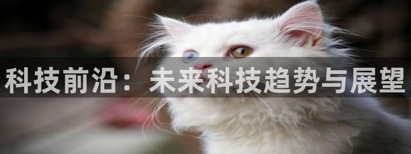 科技前沿：未来科技趋势与展望