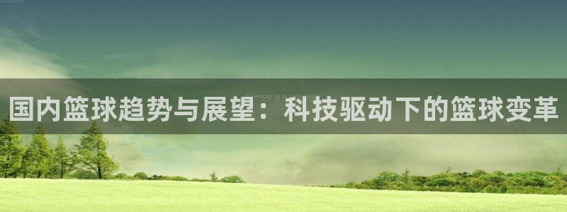 国内篮球趋势与展望：科技驱动下的篮球变革